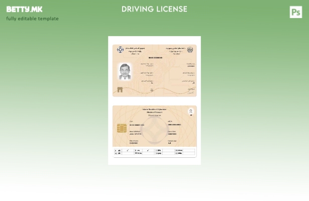 Модерен стил авганистанска електронска возачка дозвола присутен шаблон